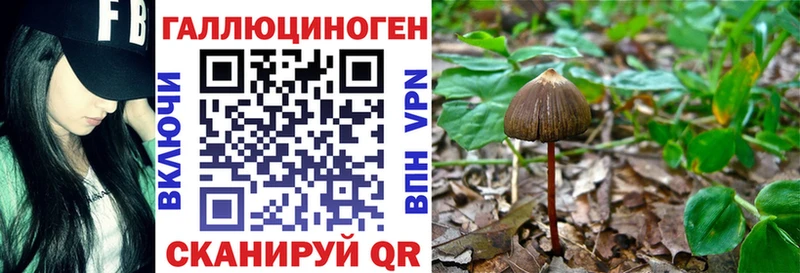 OMG вход  Вятские Поляны  Псилоцибиновые грибы ЛСД 
